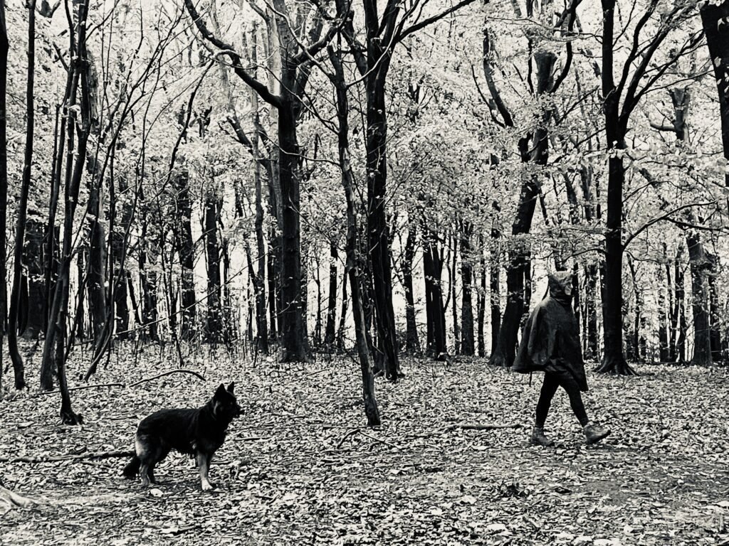 Sam walking through a wood wearing a raincoat with Betty her Alsatian dog.